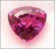 SAPPHIRE, NATURAL RED/PINK (Madagascar) � 1.60 ct.  Trillion